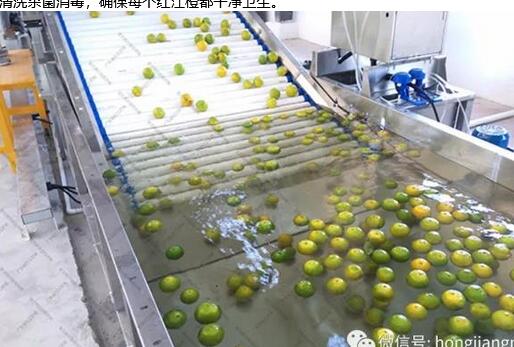 綠萌是紅江橙智能分選設備國家高新技術企業(yè),對紅江橙采后處理提供全套解決方案。綠萌紅江橙分選機可進行大小重量分級、外觀顏色分選、內(nèi)部品質(zhì)糖度檢測。提供全自動紅江橙分選設備,紅江橙選果機,智能紅江橙分選機,全自動紅江橙分選機,紅江橙分級機,小型紅江橙分選機，紅江橙分級機,紅江橙稱重分選機,紅江橙重量分選機,紅江橙大小分選機,紅江橙顏色分選機,紅江橙糖度分選機,配套紅江橙清洗機、紅江橙洗果保鮮機、紅江橙包裝機、紅江橙消毒滅菌殺菌機,紅江橙打蠟機。更多紅江橙分選方案報價,小型紅江橙選果設備價格、紅江橙分級機怎么樣、口碑好質(zhì)量好的紅江橙選果機、了解高性能紅江橙分選機多少錢,咨詢客服免費獲取