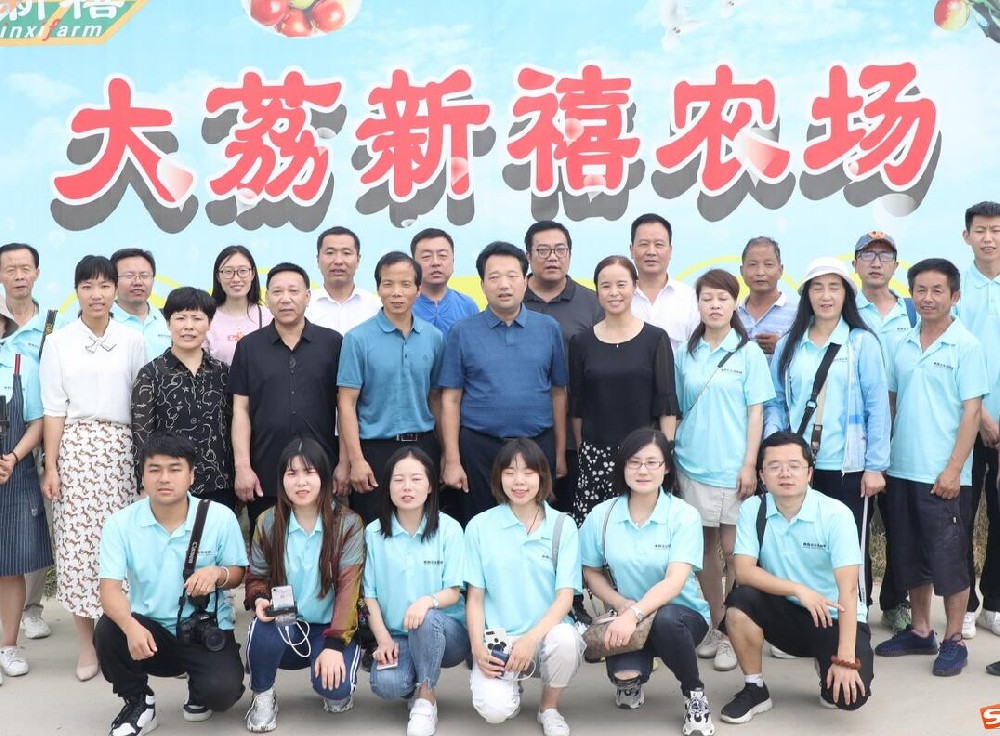綠萌是冬棗智能分選設(shè)備國家高新技術(shù)企業(yè),對冬棗采后處理提供全套解決方案。綠萌冬棗分選機可進行大小重量分級、外觀顏色分選。提供全自動冬棗分選設(shè)備,冬棗選果機,智能冬棗分選機,全自動冬棗分選機,冬棗分級機,小型冬棗分選機冬棗大小分選機,冬棗顏色分選機,更多冬棗分選方案報價,小型冬棗選果設(shè)備價格、冬棗分級機怎么樣、口碑好質(zhì)量好的冬棗選果機、了解高性能冬棗分選機多少錢,咨詢客服免費獲取