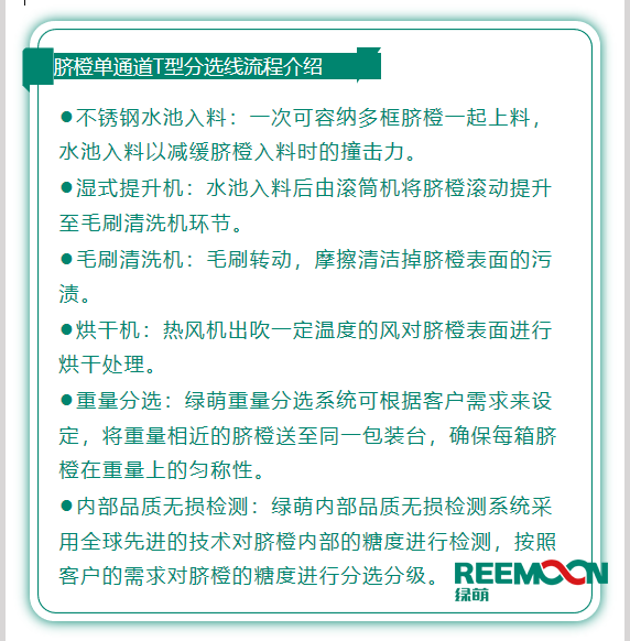 今年綠萌推出T型系列設(shè)備，專(zhuān)為中國(guó)果農(nóng)研制的高性?xún)r(jià)比的設(shè)備，具有功能齊全、小型輕便可移動(dòng)、操作簡(jiǎn)單、易維護(hù)的優(yōu)點(diǎn)。臍橙單通道分選線確保每箱分選過(guò)的臍橙個(gè)頭勻稱(chēng)、糖酸度相近，有著穩(wěn)定的品質(zhì)，讓非標(biāo)準(zhǔn)的農(nóng)產(chǎn)品標(biāo)準(zhǔn)化。該分選線專(zhuān)門(mén)為中國(guó)小戶(hù)果農(nóng)定制，為客戶(hù)實(shí)地考察，根據(jù)客戶(hù)需求全流程設(shè)計(jì)，
