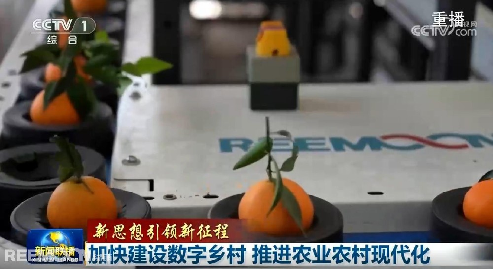 又又又上央視了2025開年見喜綠萌在半月之內(nèi)兩次登上《新聞聯(lián)播》2025年1月1日央視《新聞聯(lián)播》聚焦《甘肅省天水市麥積區(qū)南山花牛蘋果》其中一組畫面中綠萌蘋果雙通道分選線上鏡這條分揀線對蘋果的大小、色澤、瑕疵、糖度、霉心等指標(biāo)進行精準(zhǔn)檢測分級助推花牛蘋果做大做強助力果農(nóng)增收致富10